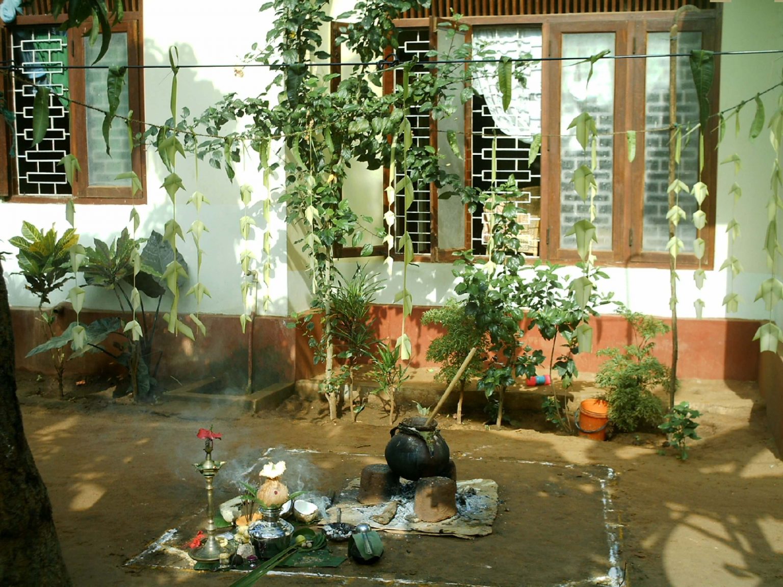 தைப்பொங்கல்