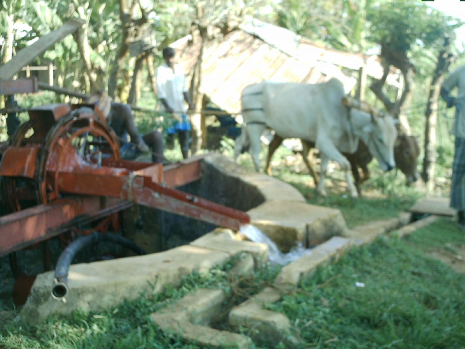 சூத்திரவாளிக்கிணறு – செல்வி கிஷோபனா சுந்தரலிங்கம்