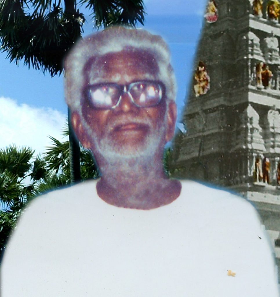 விஸ்வநாதஐயர், இ.