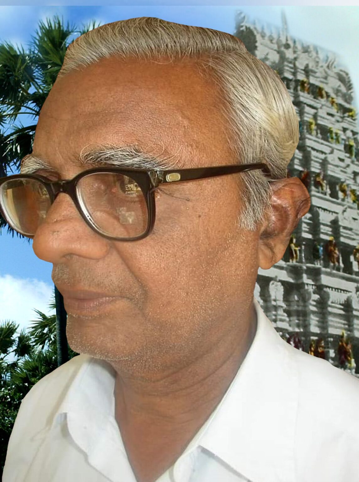 மயிலங்கூடலூர் பிள்ளையினார் நடராஜன்